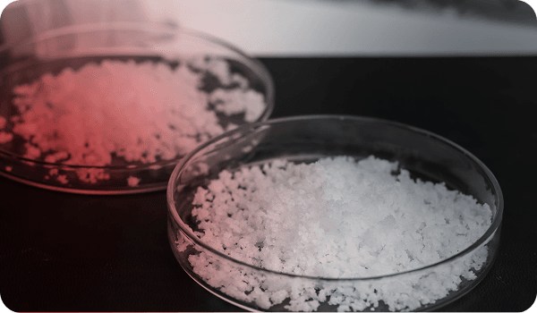 Group 1000001537.png