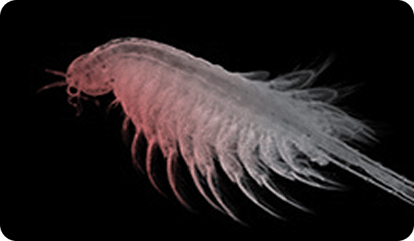 Group 1000001538.png