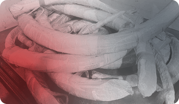 Group 1000001556.png