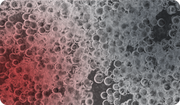 Group 1000001559.png